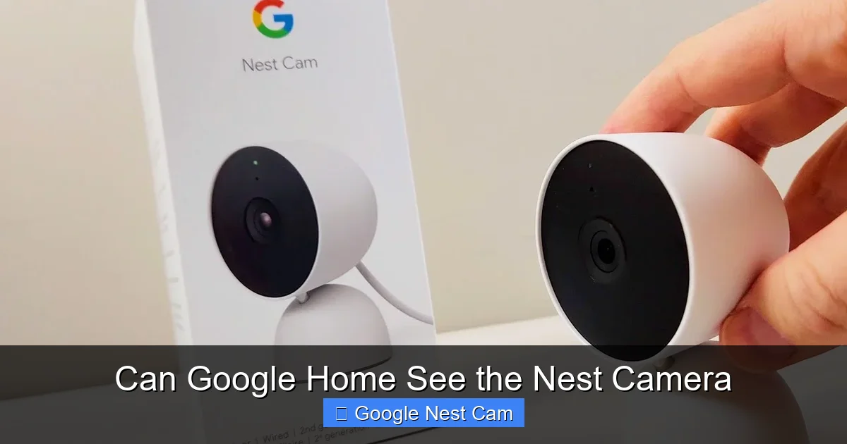 Can Google Home See the Nest Camera