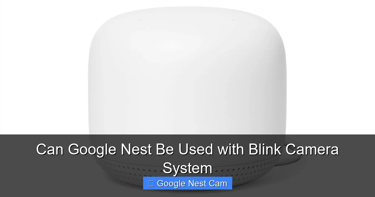 Can Google Nest Be Used with Blink Camera System