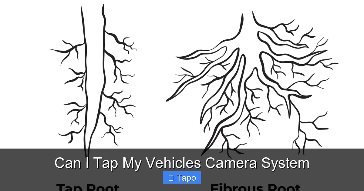 Can I Tap My Vehicles Camera System