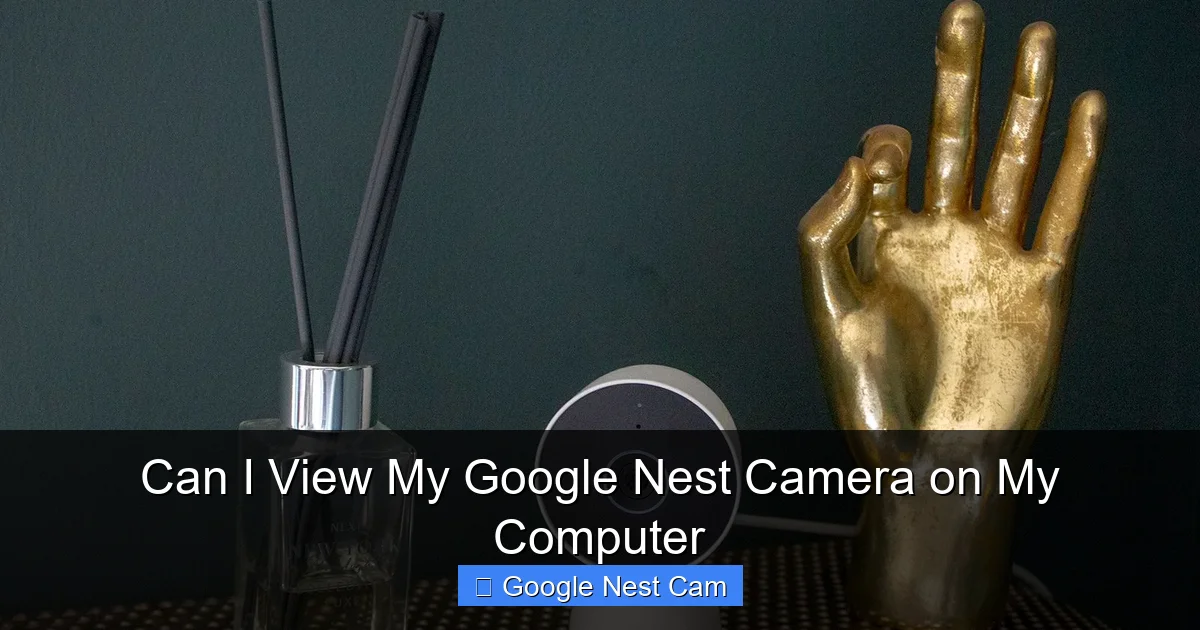 Can I View My Google Nest Camera on My Computer