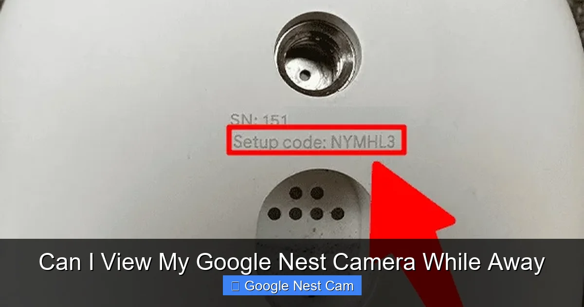 Can I View My Google Nest Camera While Away
