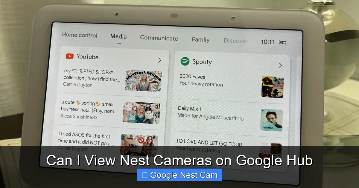 Can I View Nest Cameras on Google Hub