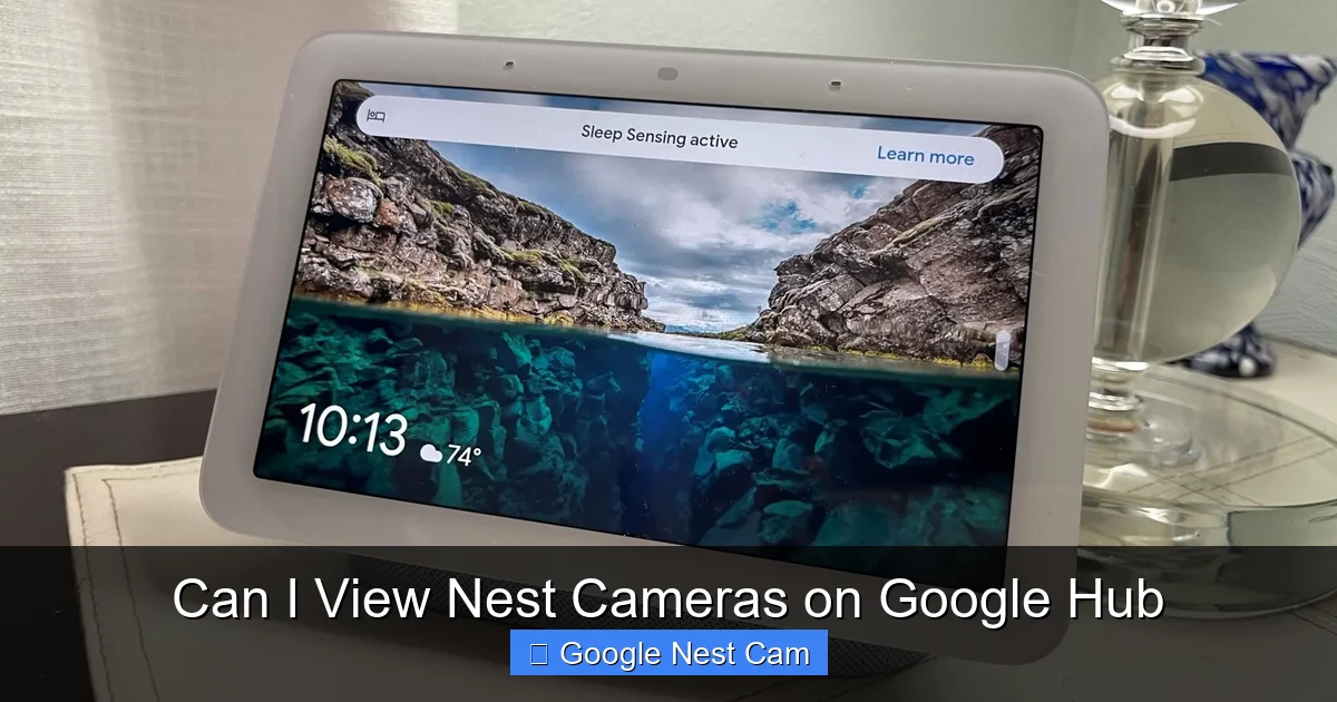 Can I View Nest Cameras on Google Hub