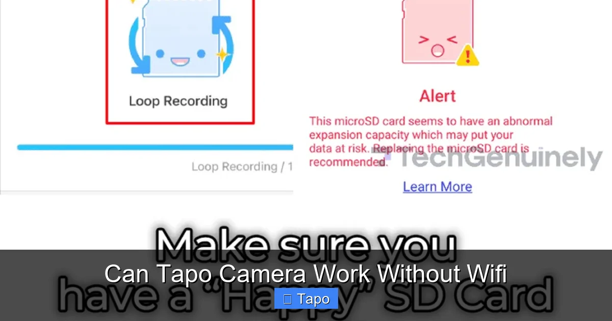 Can Tapo Camera Work Without Wifi