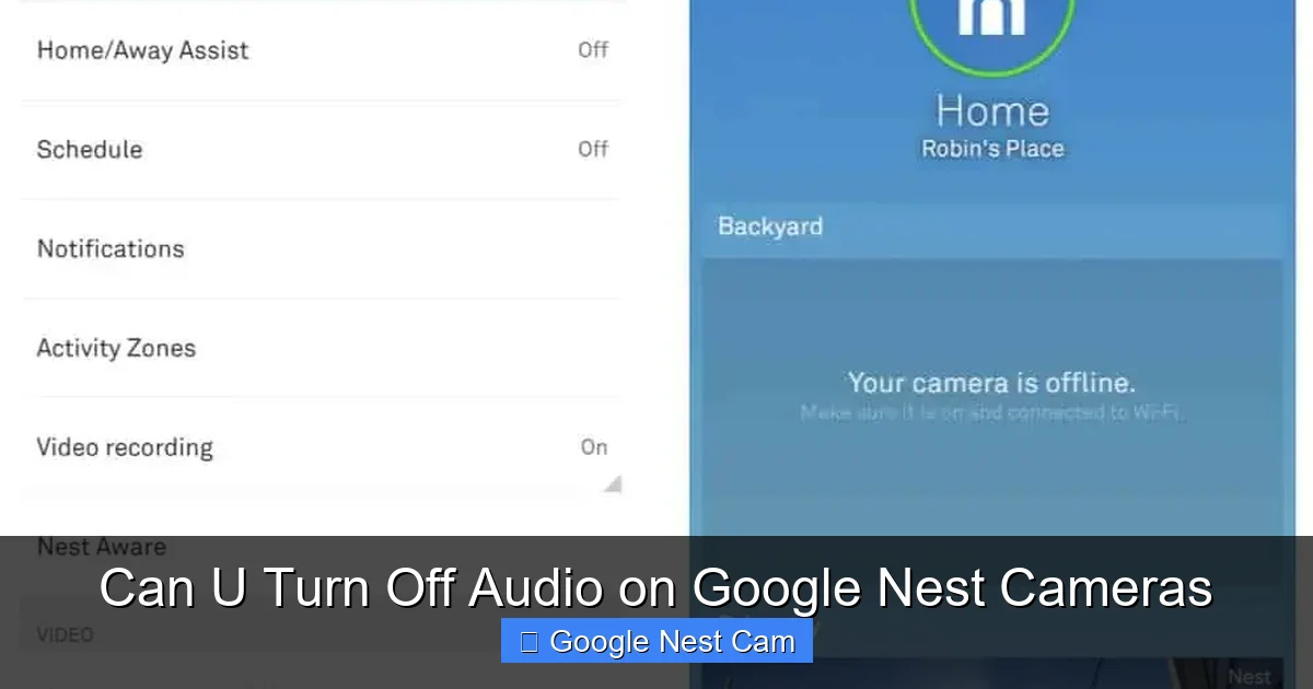 Can U Turn Off Audio on Google Nest Cameras