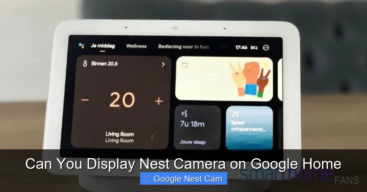 Can You Display Nest Camera on Google Home