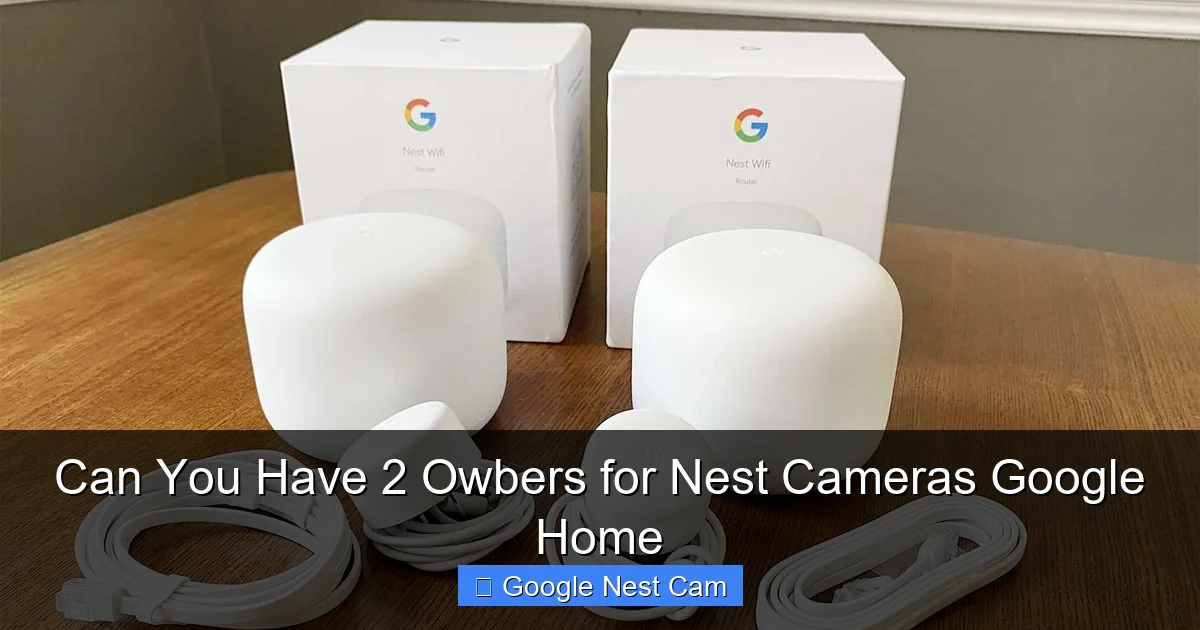 Can You Have 2 Owbers for Nest Cameras Google Home