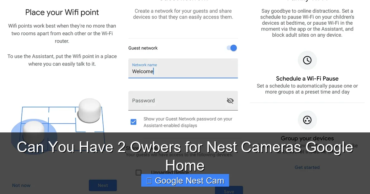 Can You Have 2 Owbers for Nest Cameras Google Home