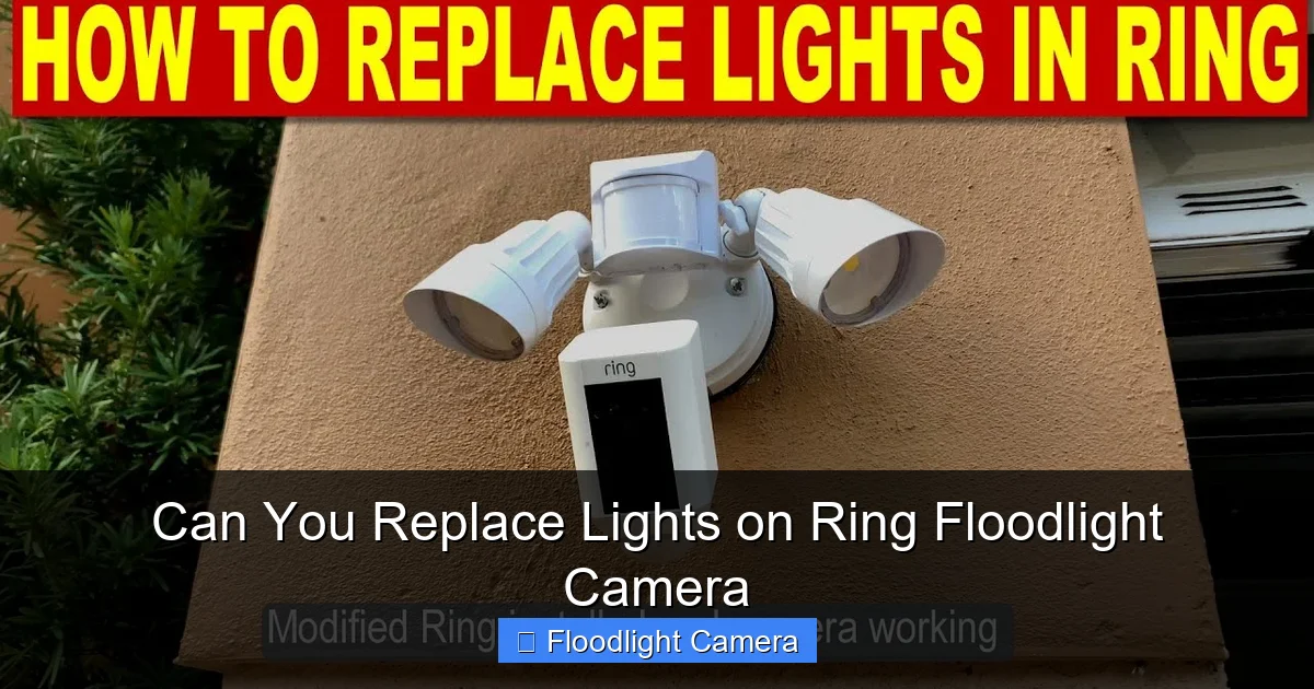 Can You Replace Lights on Ring Floodlight Camera