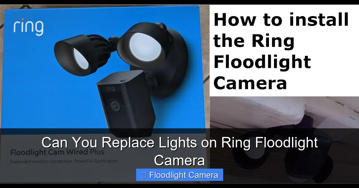 Can You Replace Lights on Ring Floodlight Camera