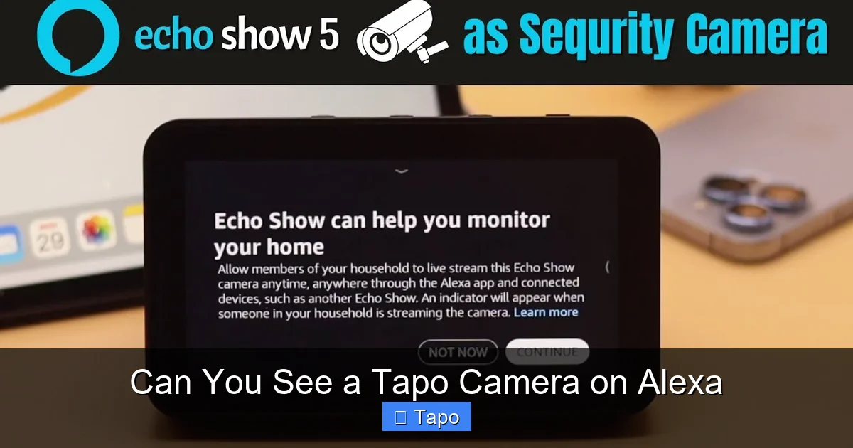 Can You See a Tapo Camera on Alexa