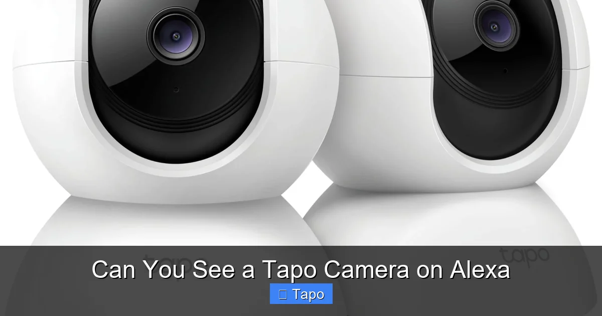 Can You See a Tapo Camera on Alexa