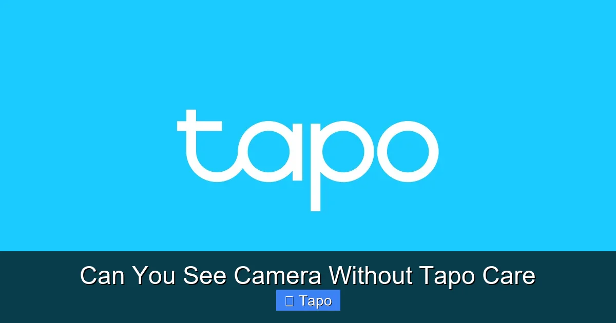 Can You See Camera Without Tapo Care