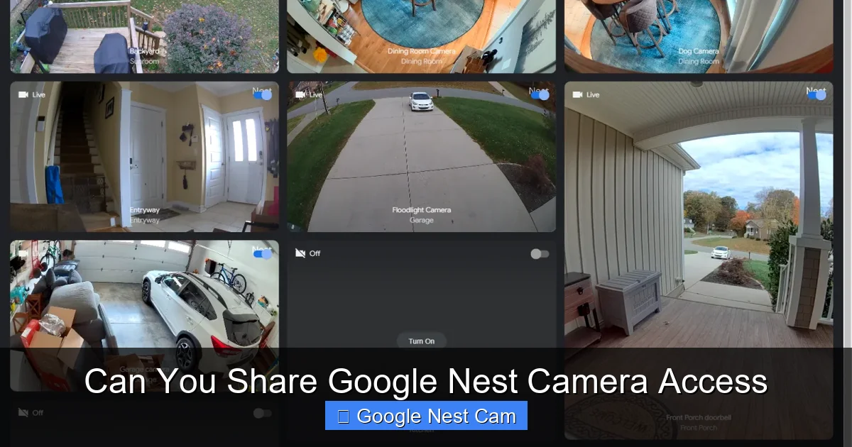 Can You Share Google Nest Camera Access