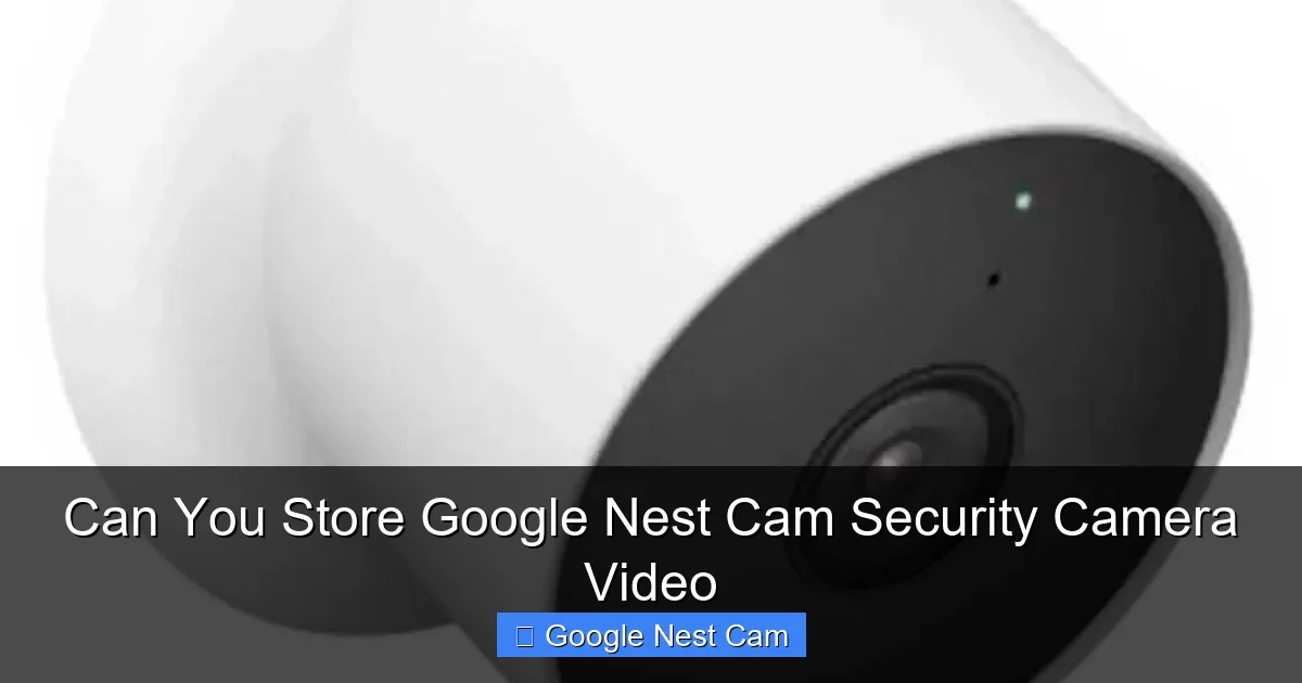 Can You Store Google Nest Cam Security Camera Video