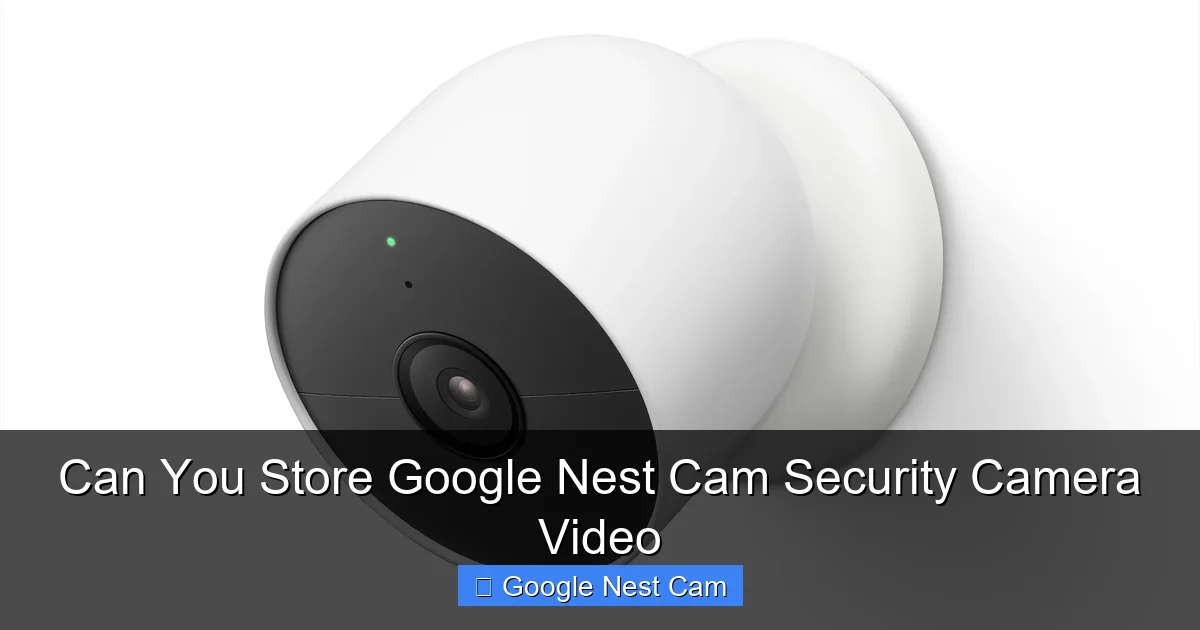 Can You Store Google Nest Cam Security Camera Video
