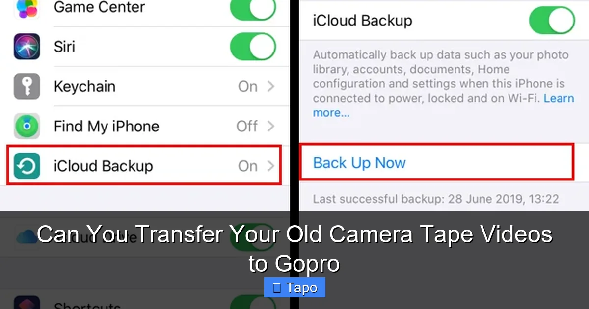 Can You Transfer Your Old Camera Tape Videos to Gopro