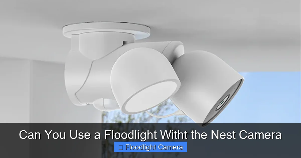 Can You Use a Floodlight Witht the Nest Camera