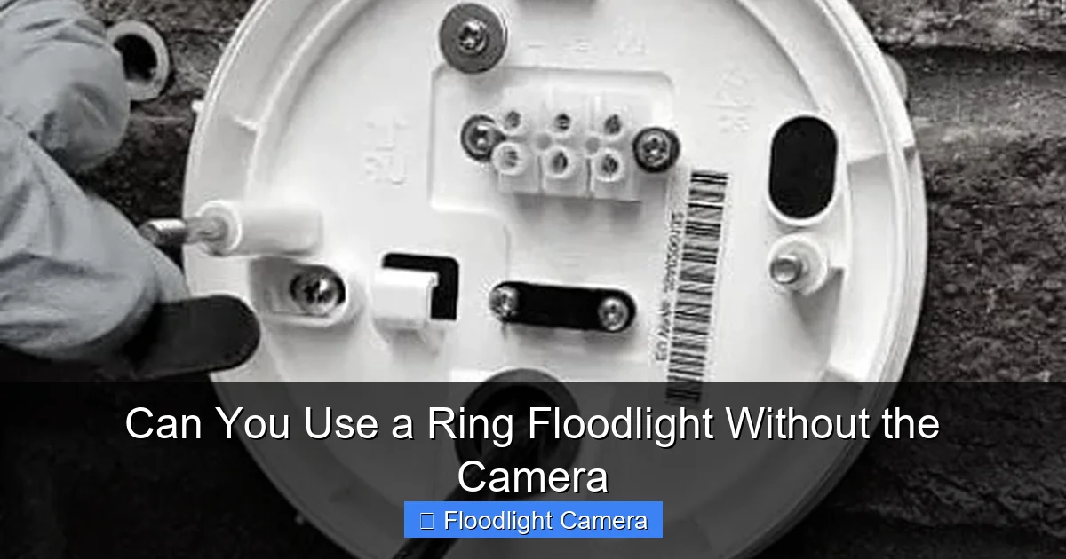 Can You Use a Ring Floodlight Without the Camera