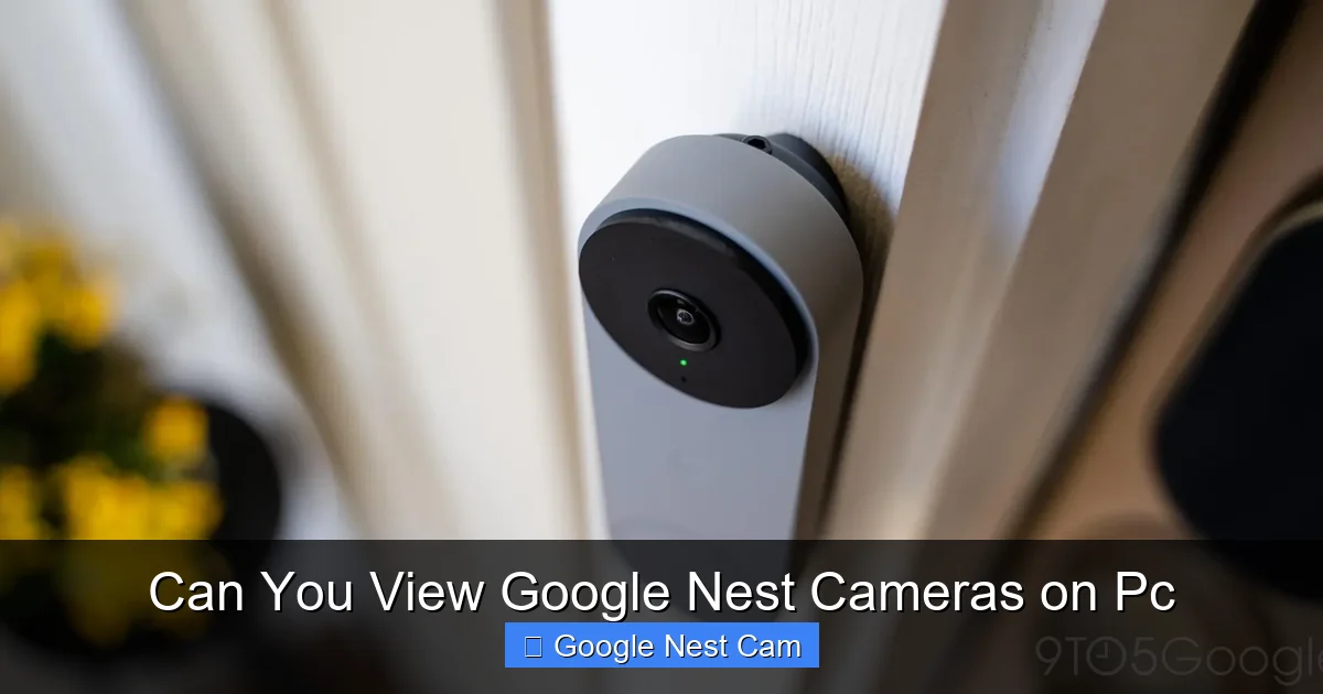 Can You View Google Nest Cameras on Pc