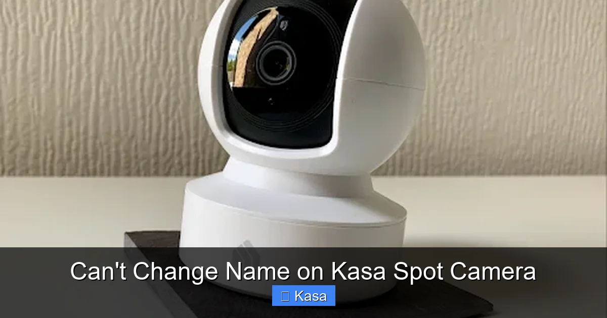 Can't Change Name on Kasa Spot Camera