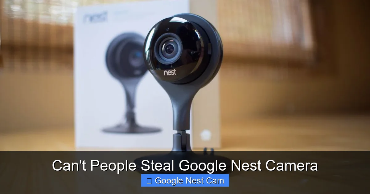 Can't People Steal Google Nest Camera