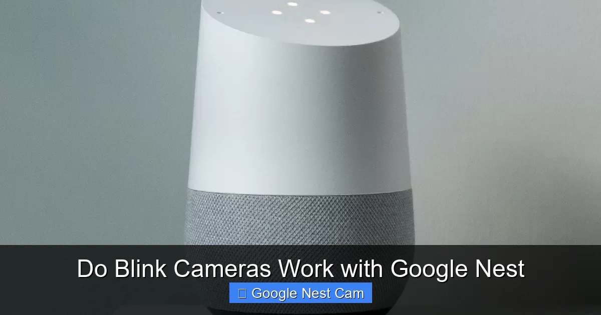 Do Blink Cameras Work with Google Nest