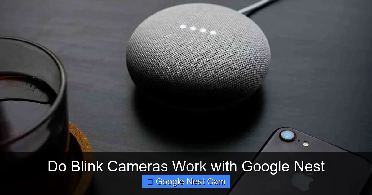 Do Blink Cameras Work with Google Nest