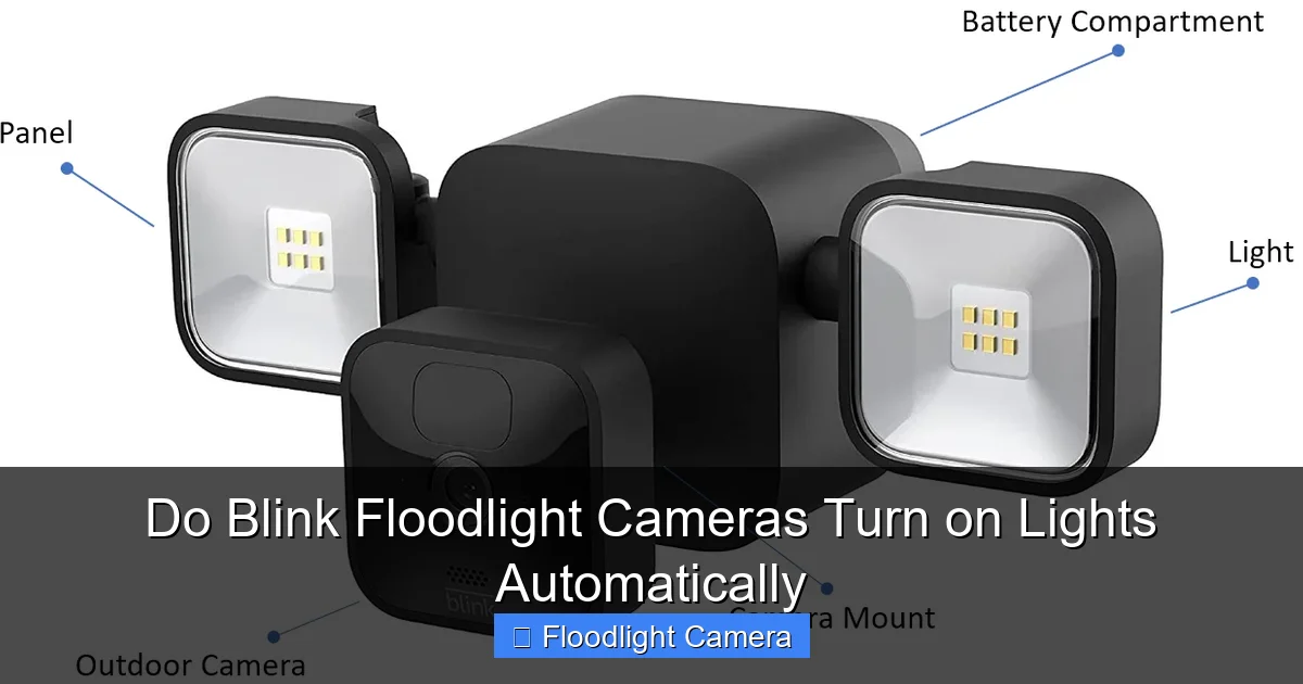 Do Blink Floodlight Cameras Turn on Lights Automatically