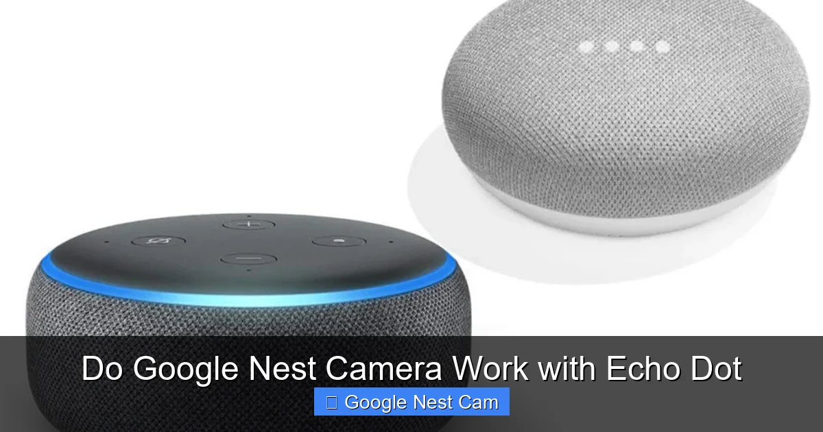 Do Google Nest Camera Work with Echo Dot