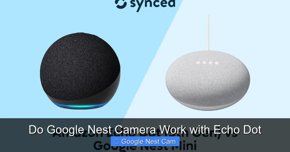 Do Google Nest Camera Work with Echo Dot