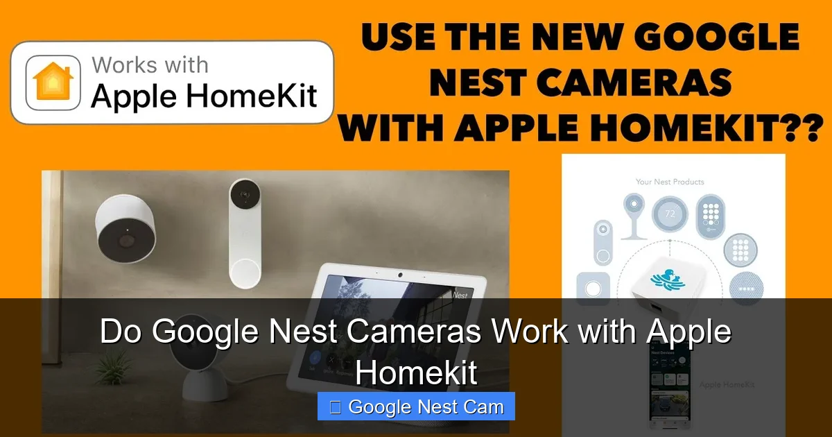Do Google Nest Cameras Work with Apple Homekit