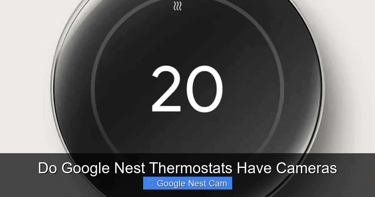 Do Google Nest Thermostats Have Cameras
