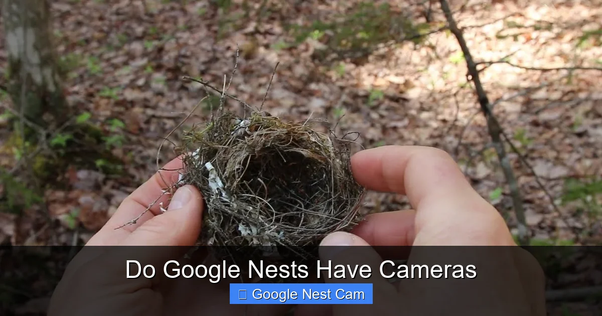 Do Google Nests Have Cameras
