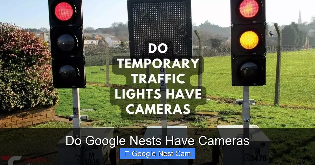 Do Google Nests Have Cameras