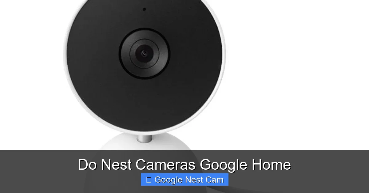 Do Nest Cameras Google Home