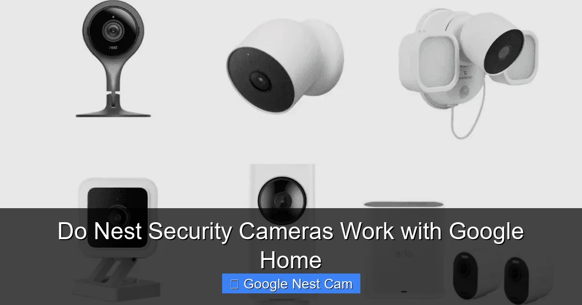 Do Nest Security Cameras Work with Google Home
