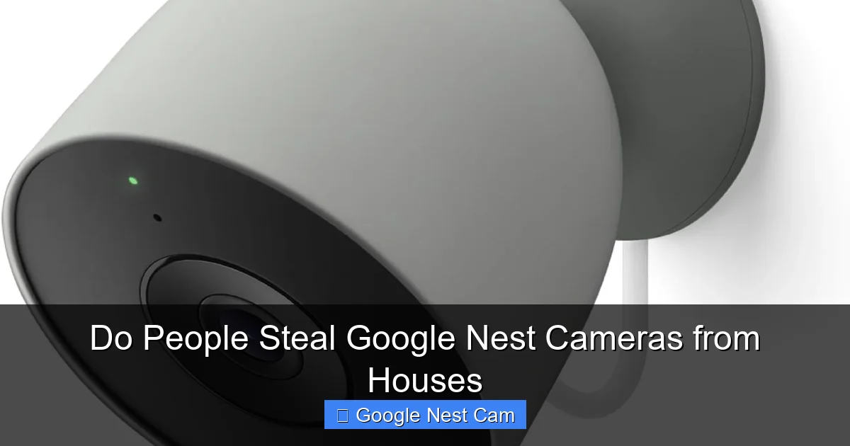 Do People Steal Google Nest Cameras from Houses