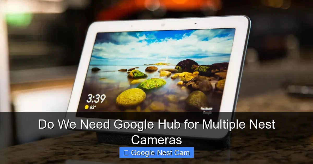 Do We Need Google Hub for Multiple Nest Cameras