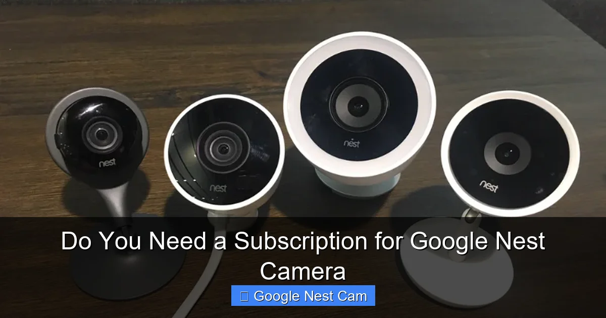Do You Need a Subscription for Google Nest Camera