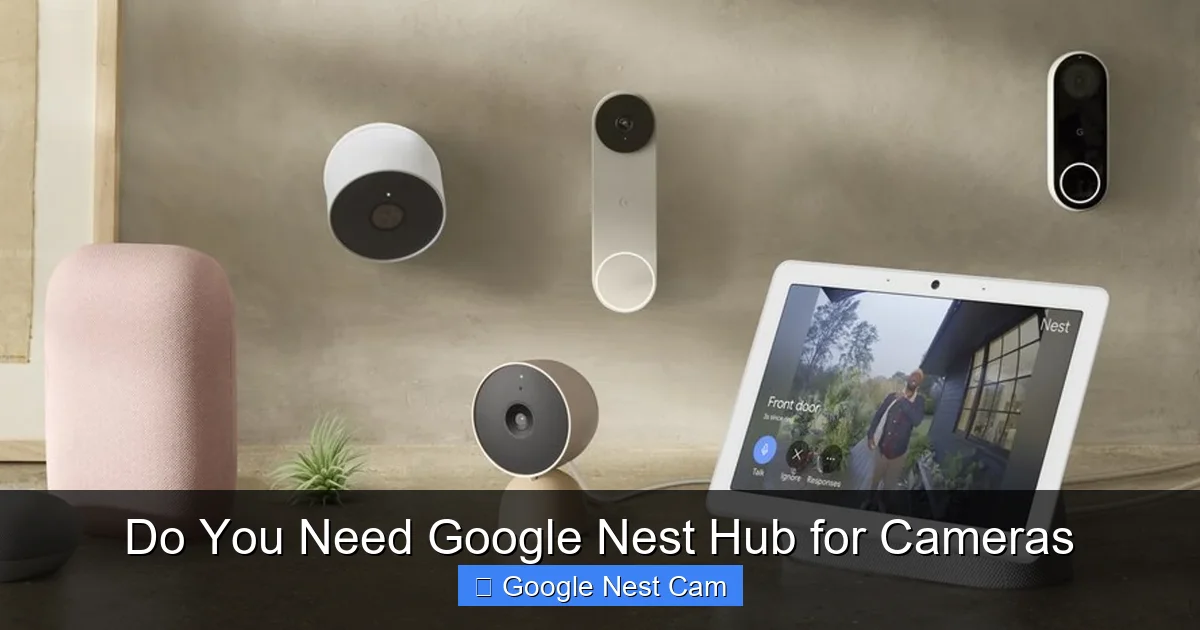 Do You Need Google Nest Hub for Cameras