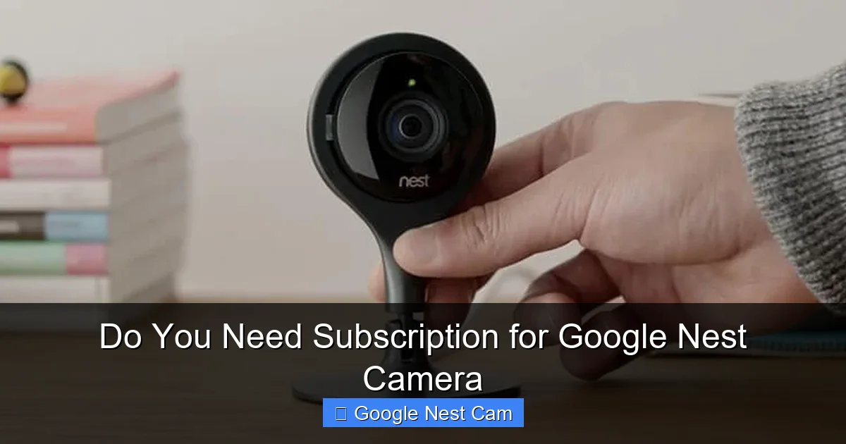 Do You Need Subscription for Google Nest Camera