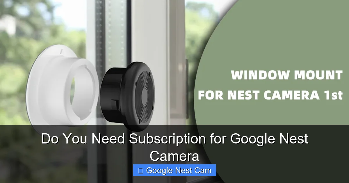 Do You Need Subscription for Google Nest Camera