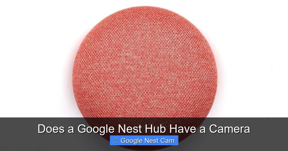 Does a Google Nest Hub Have a Camera