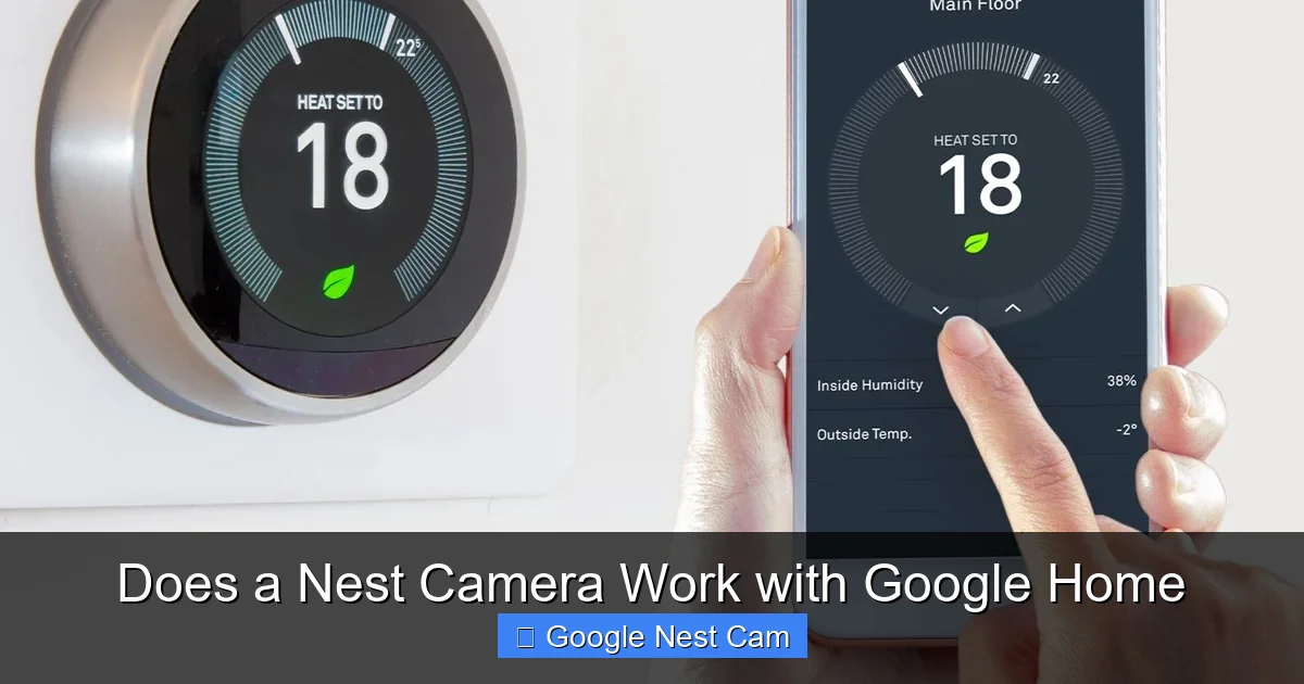 Does a Nest Camera Work with Google Home