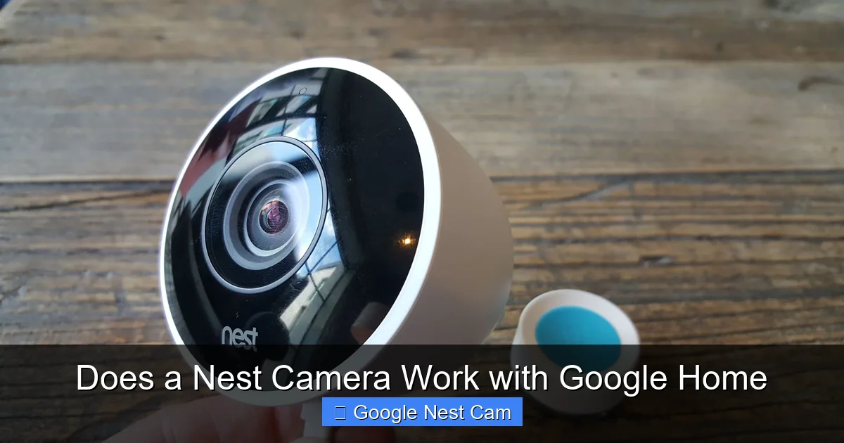 Does a Nest Camera Work with Google Home