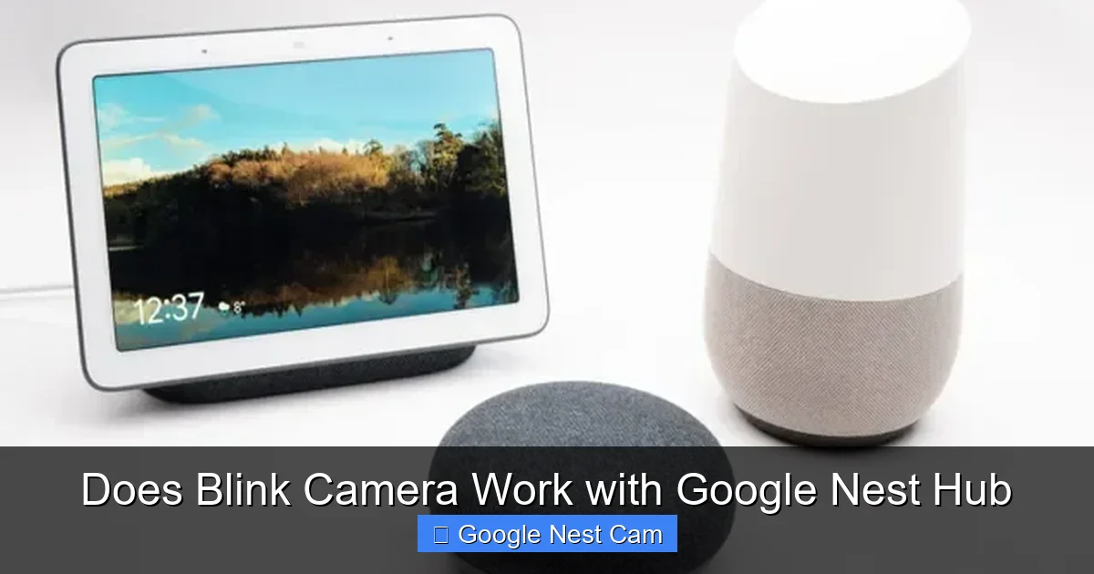 Does Blink Camera Work with Google Nest Hub