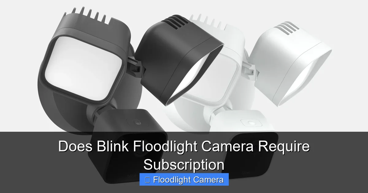 Does Blink Floodlight Camera Require Subscription