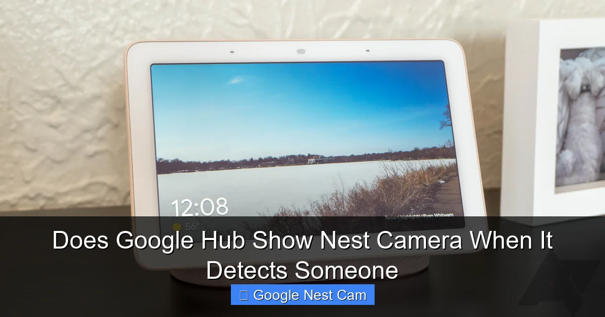 Does Google Hub Show Nest Camera When It Detects Someone