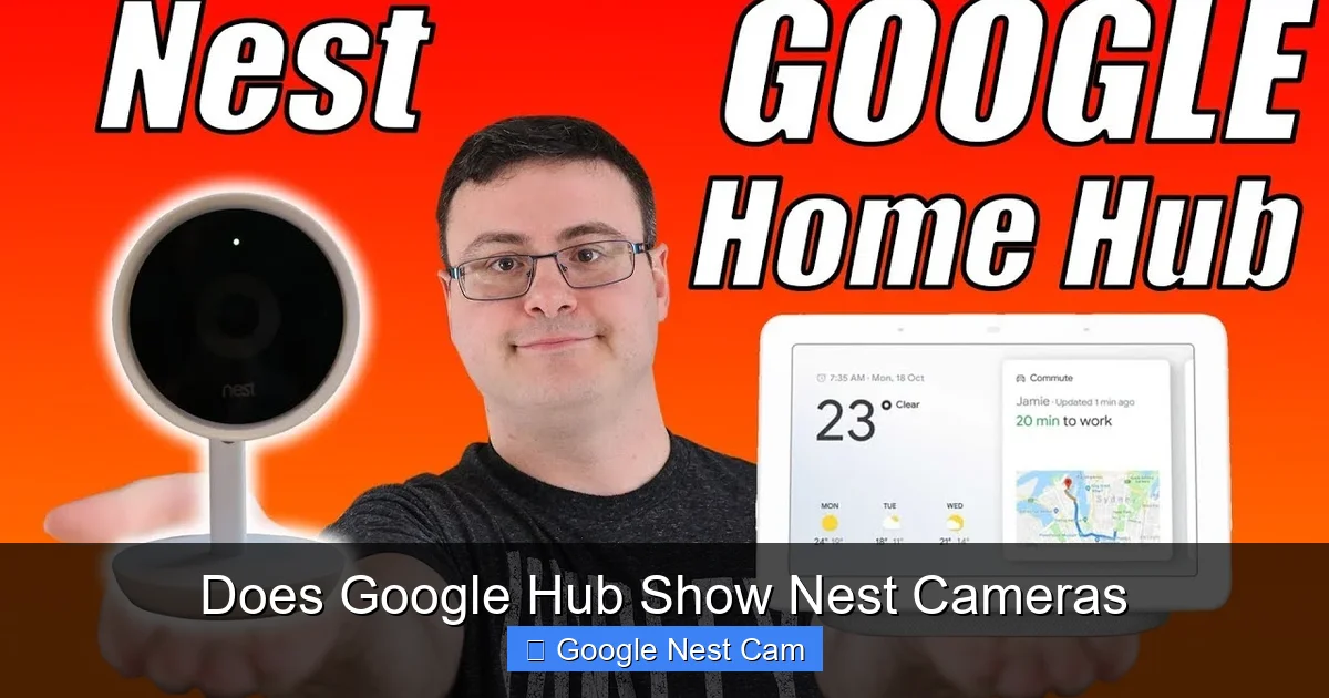 Does Google Hub Show Nest Cameras